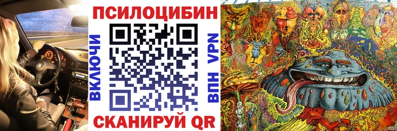 ссылка на мегу ONION  Покачи  Псилоцибиновые грибы Magic Shrooms 