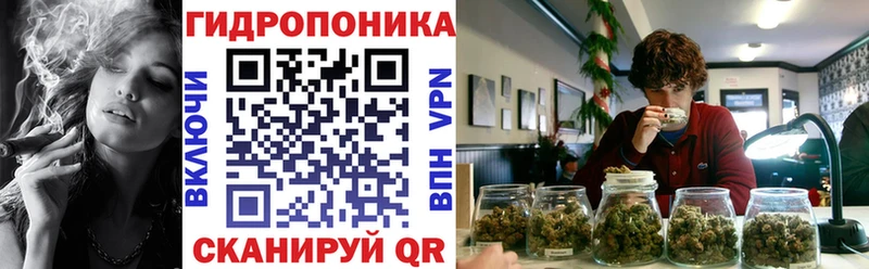 Бошки Шишки White Widow  наркотики  Покачи 
